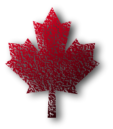 カナダのカエデの葉ベクター描画