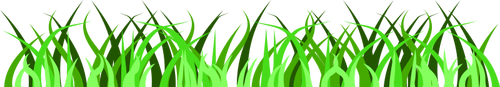 Grass leaves