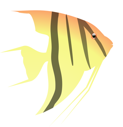 Melek balığı