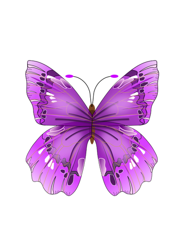Krásný fialový motýl