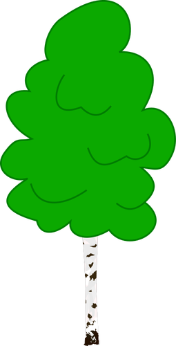 Vector graphics of young birch in color