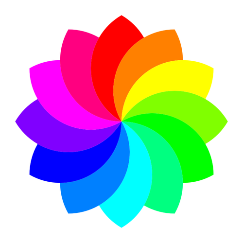 Colorful 12 petal flower vector illustration