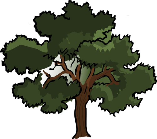 Vector clip art of wide oak tree