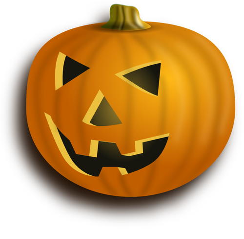 Orange pumpkin lantern with shadow vector image