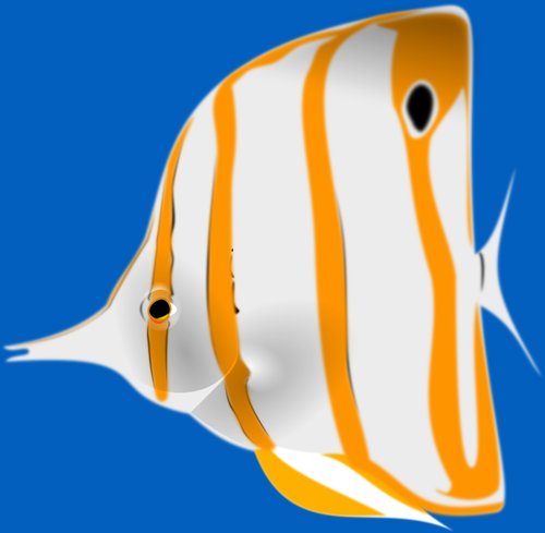 Butterfly fish