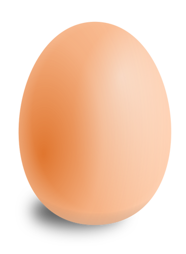 ביצה