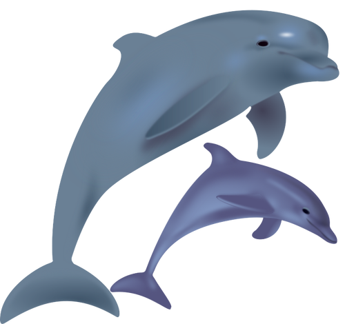 Двух дельфинов