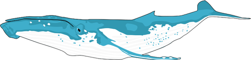 Balena cu cocoaşă de desen benzi desenate