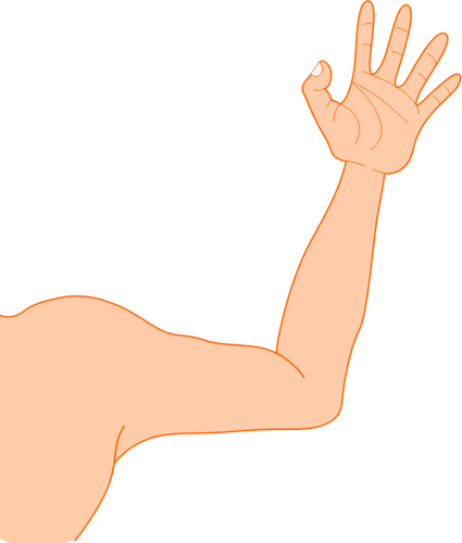 Vector illustration of thin male arm