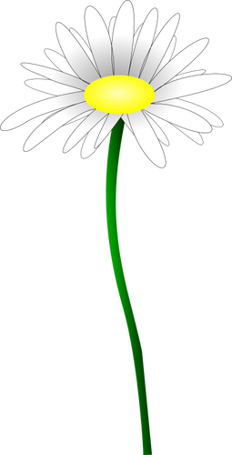 简单的雏菊的简单的彩色插图