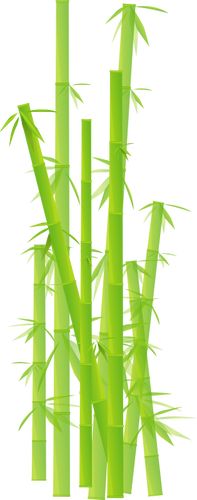 Vector clip art of bamboo stalks