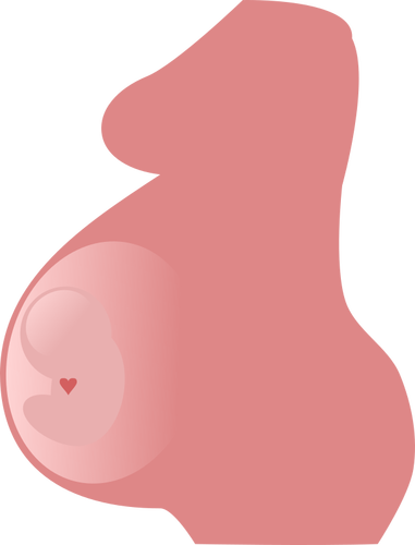 Беременность-векторное изображение