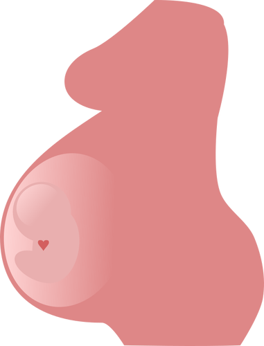 Pregnancy vector image