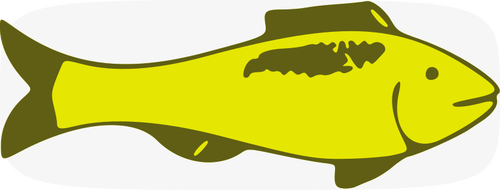 Green fish vector image