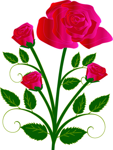 Vektorgrafik med fyra rosor på en stam