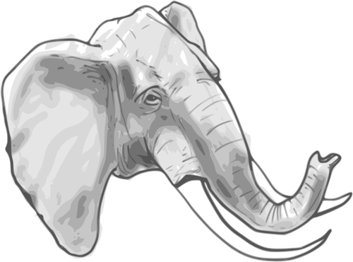 Outline vector graphics of elephant