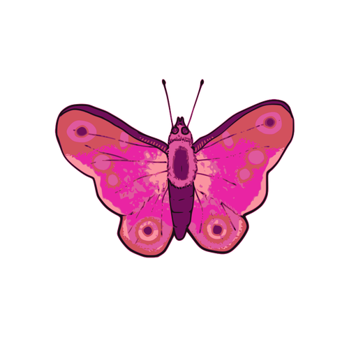 Download Vector illustration of pink and purple butterfly | Public ...