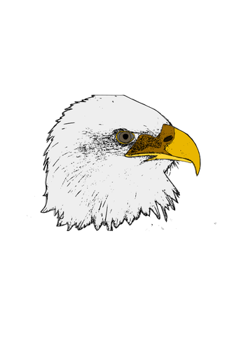 Eagle vector art