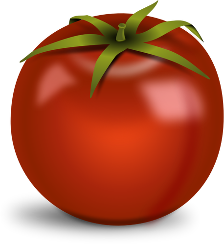 Błyszczący pomidor