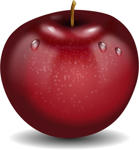 Vektortegning fotorealistiske røde våt Apple