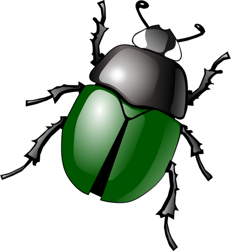 程式化的绿色甲虫