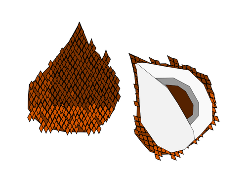 Vector image of a snake fruit