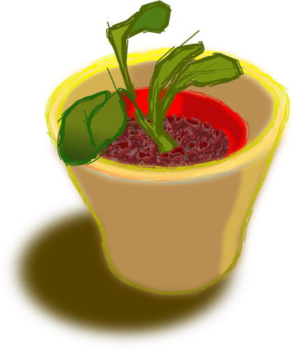 Vector image of plant in two pots