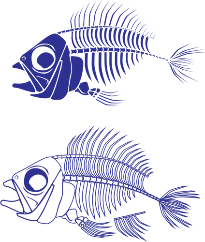 Fish skeleton vector graphics
