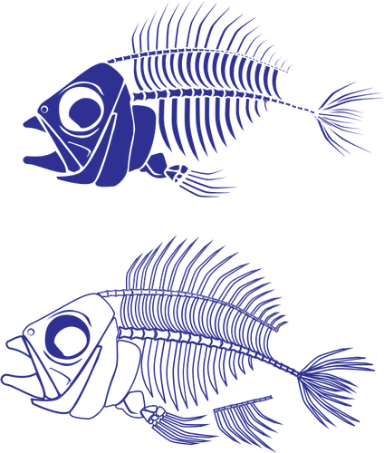 Vectorielles squelette de poisson