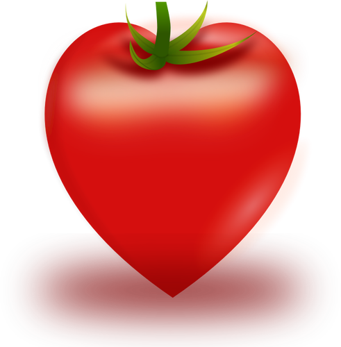 Vector illustration of heart shaped tomato