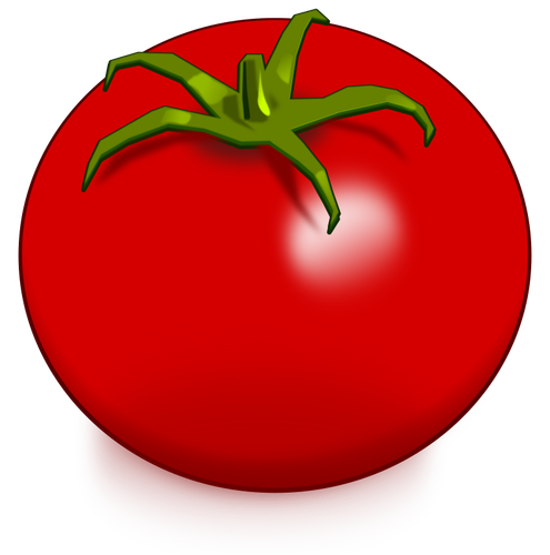 Glänzende Tomate Bild