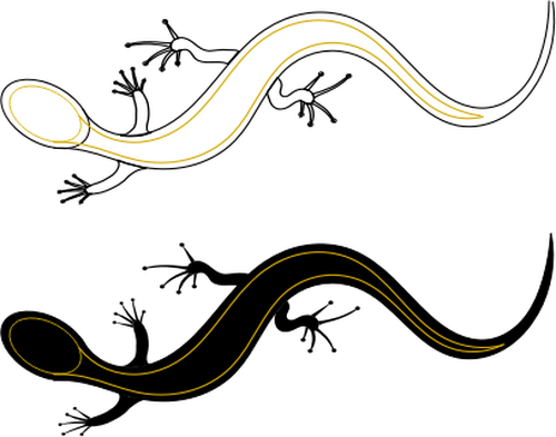 Vector graphics of lizards