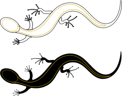 Graphiques vectoriels de lézards