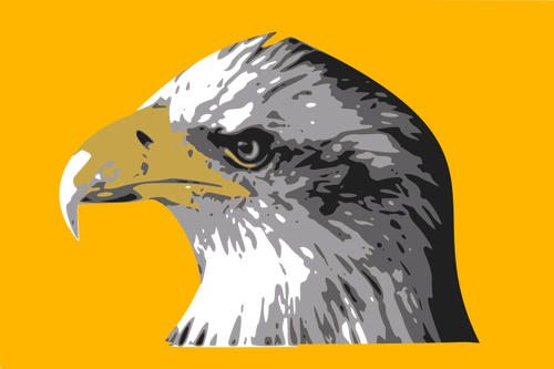 Cabeza de un águila calva vector dibujo