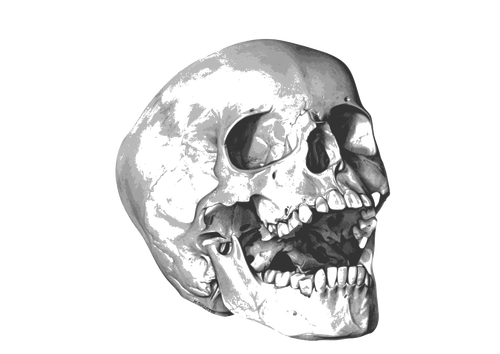 Yawning skull image