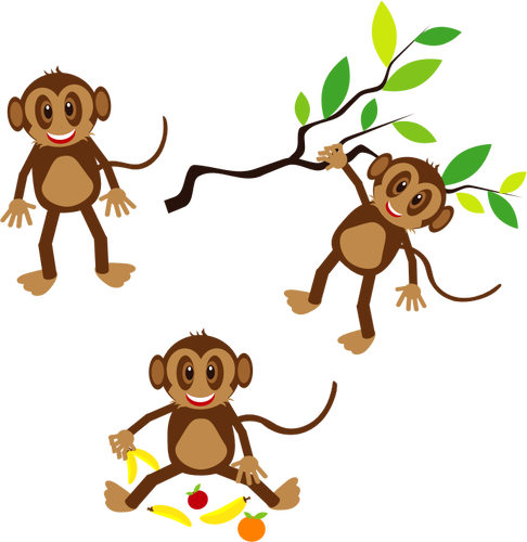 Felizes macacos