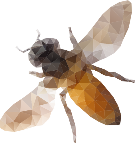 Fraktal arı