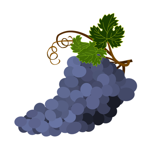 Imagem de vetor de uvas roxa