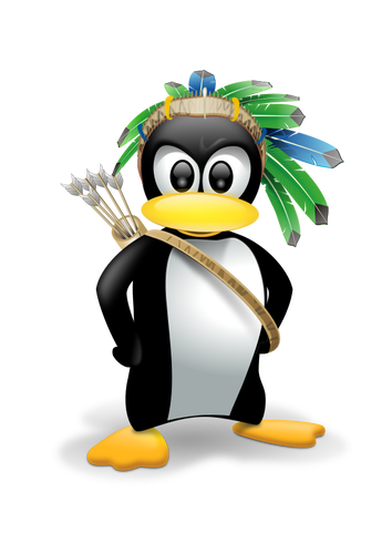 Indian penguin vector image