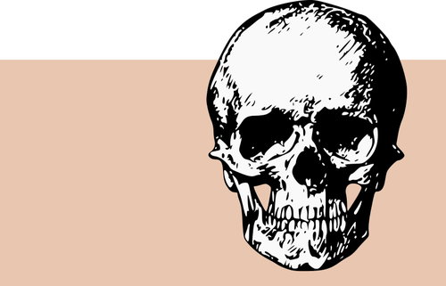 Scary skull