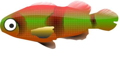 Colorful small fish