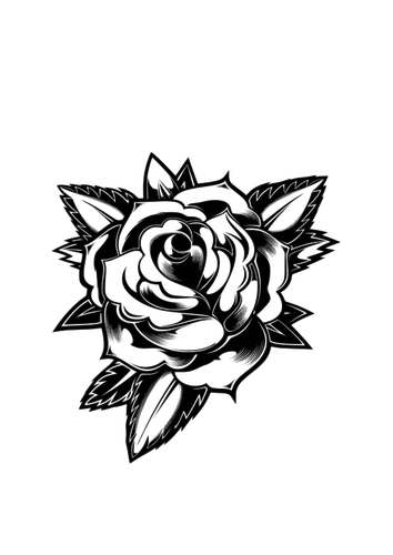 Schwarz / weiß erblühte rose
