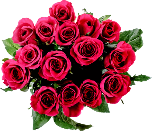 בתמונה וקטורית זר ורדים