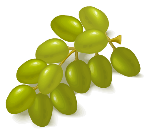 緑色のブドウのイメージ