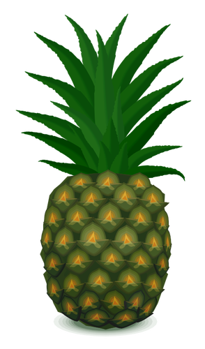 Ananas tekening