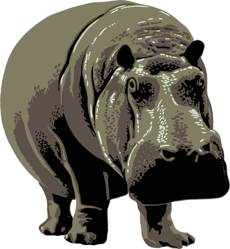 Vector de la imagen de un hipopótamo