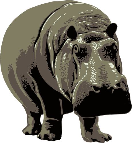 Vector image of a hippo