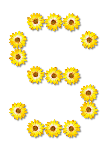 S مصنوعة من الزهور
