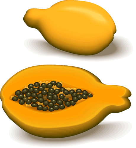 Papaya ve bir buçuk