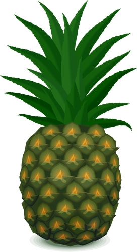Зеленый ананас векторное изображение